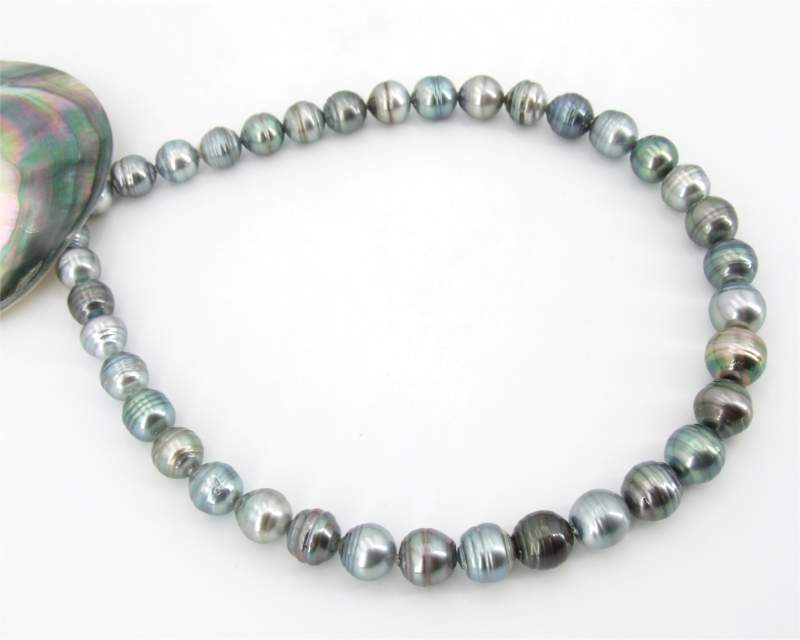 Tahiti Perlenkette grau vom Edelkontor